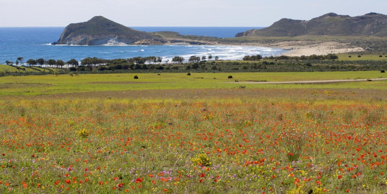 La De Carmen * Níjar